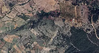 Denizli, Pamukkale, Satılık, Tarla