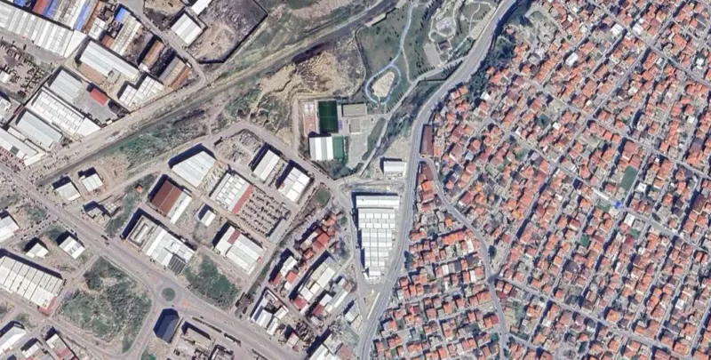 545.jpg