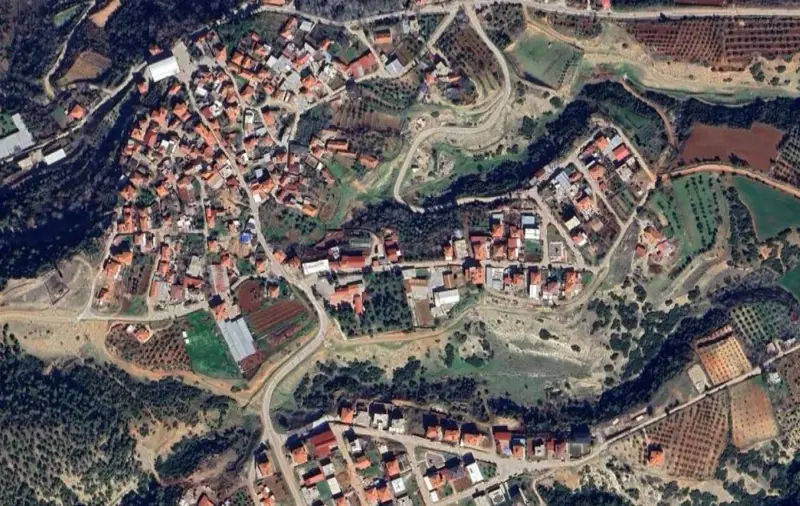 175.jpg