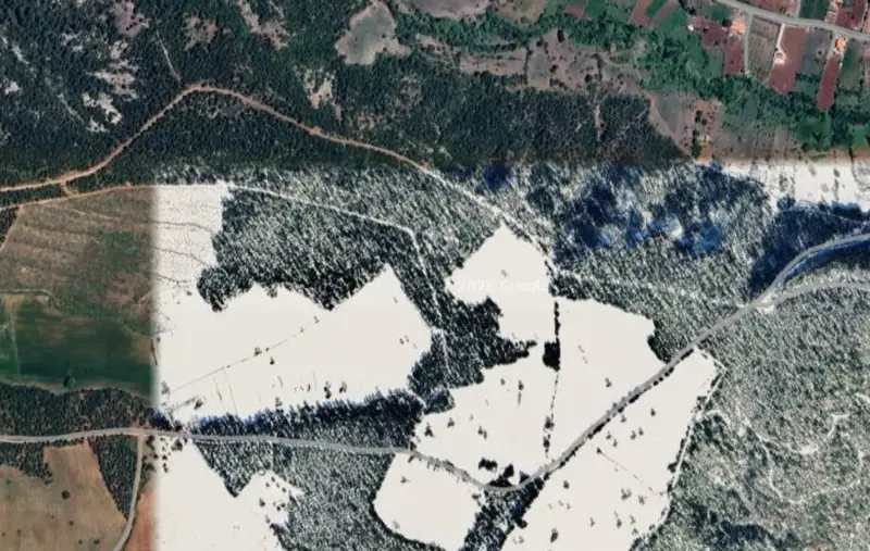 Yeni Mah., Satılık, Tarla, 44.331 m² — fotoğraf 2