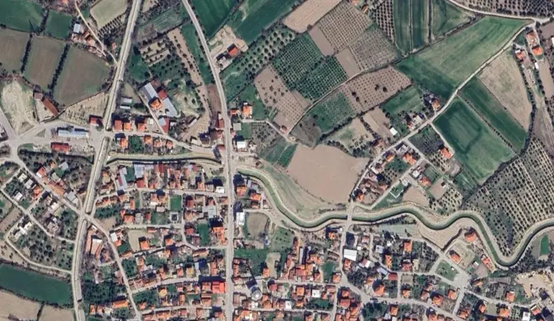 217.jpg