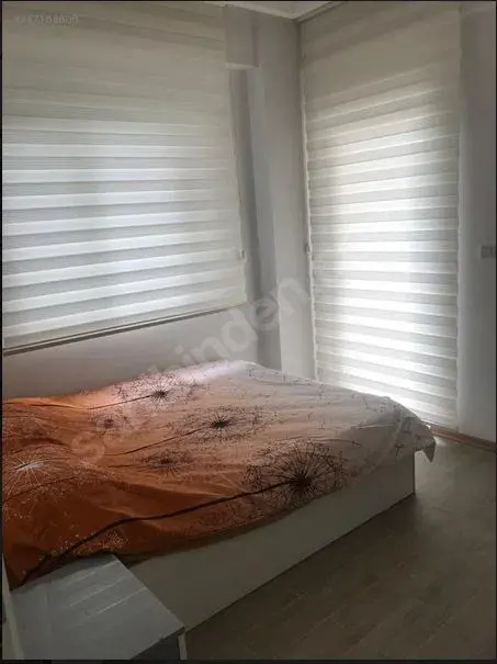 19.JPG