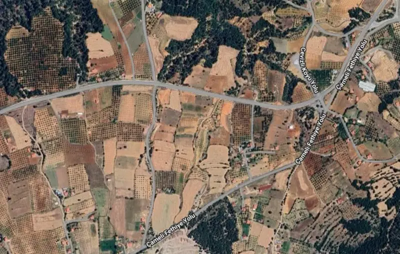 Cevizli Mah., Satılık, Tarla, 5.567 m² — fotoğraf 2