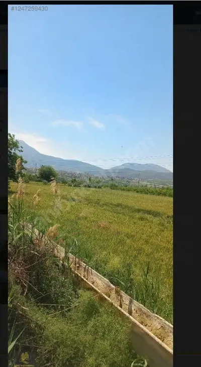 Denizli, Çömleksaz, Tarla