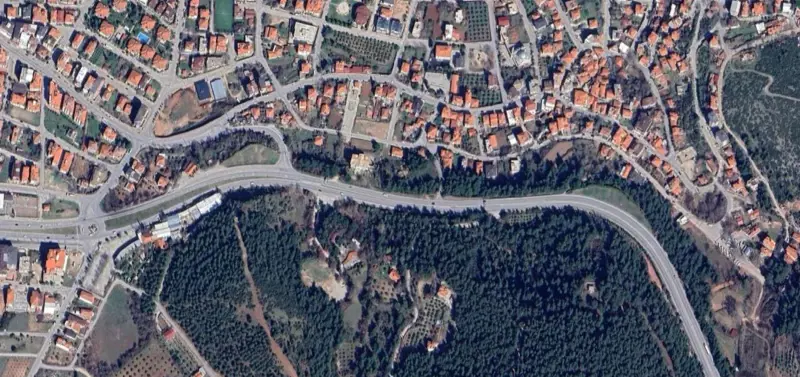 1631.jpg