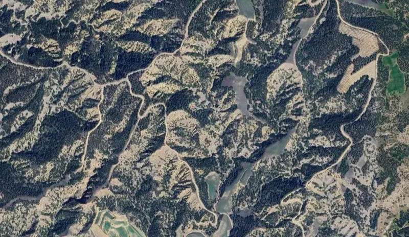 179.jpg