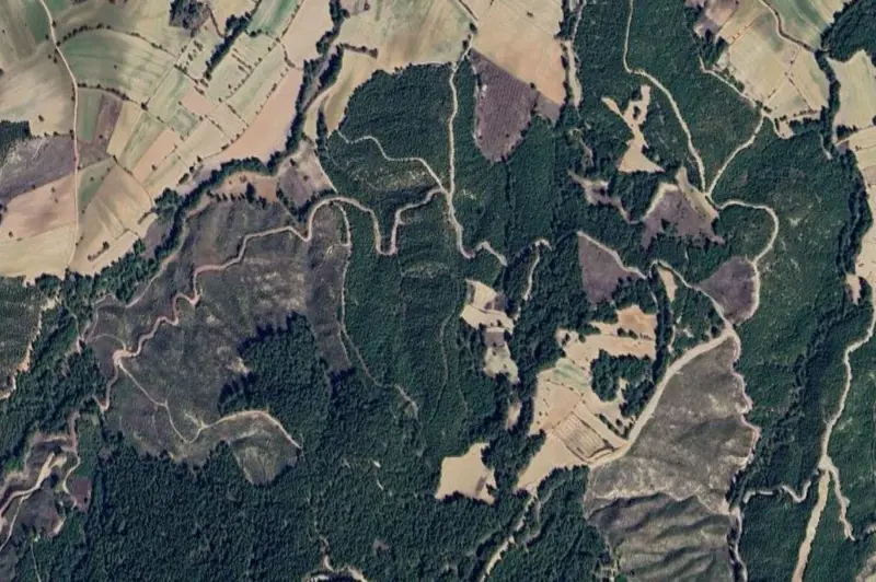 2187.jpg