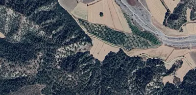 Denizli, Honaz, Satılık, Tarla