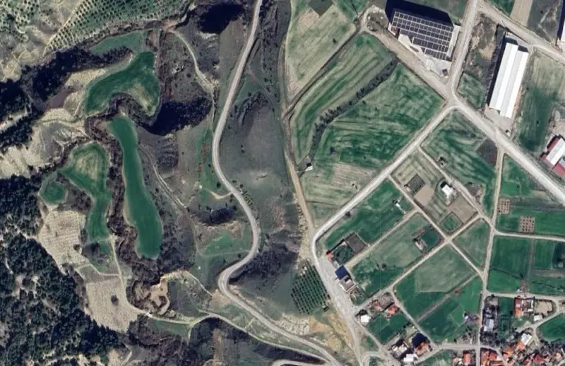 1994.jpg