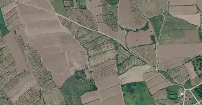 Denizli, Honaz, Satılık, Tarla