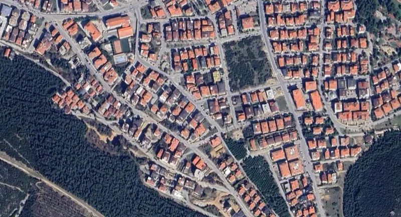 260.jpg