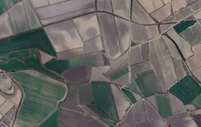 Denizli, Pamukkale, Tarla