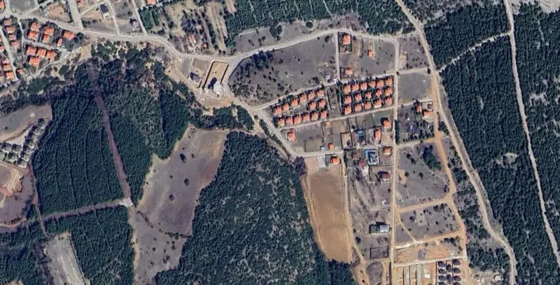 648.jpg