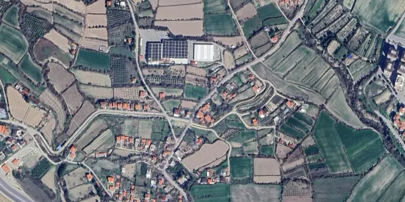 1455.jpg