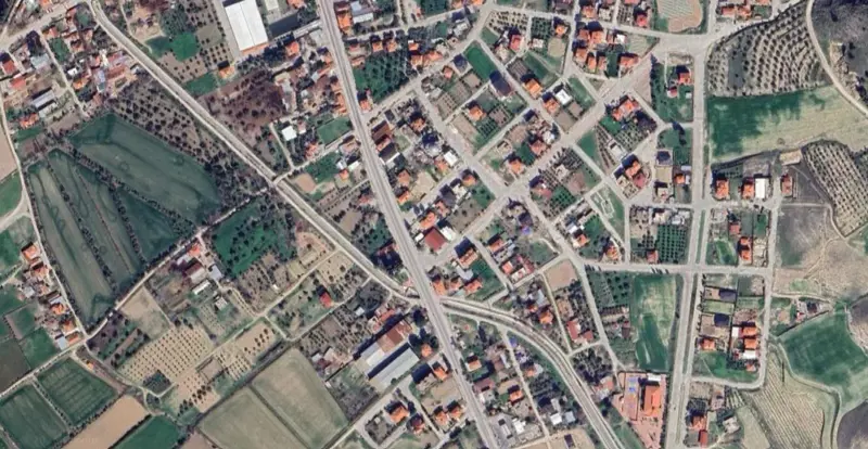 897.jpg