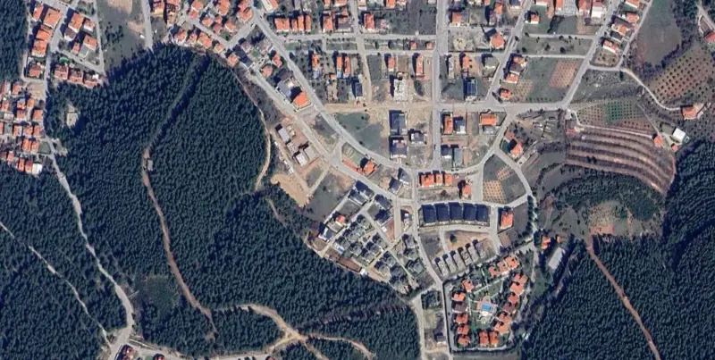 1356.jpg
