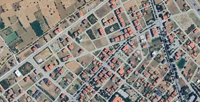 1175.jpg