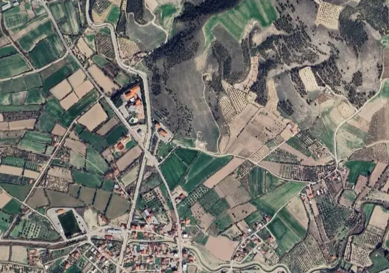 2190.jpg