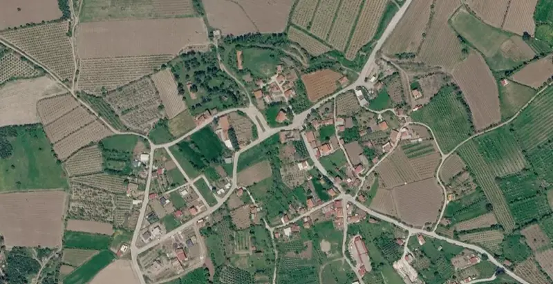 1335.jpg