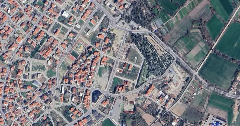 960.jpg