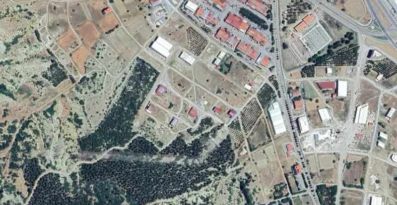 1445.jpg