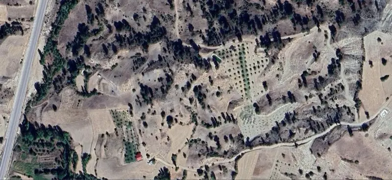 191.jpg