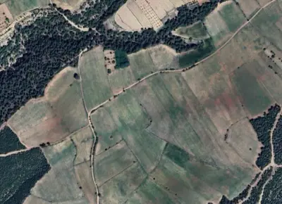 Denizli, Pamukkale, Satılık, Tarla
