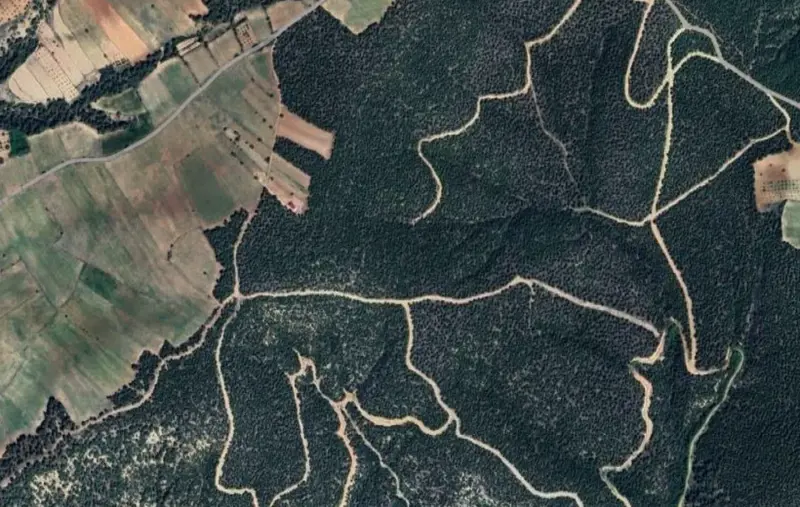 Güzelpınar Mah., Satılık, Tarla, 2.376 m² — fotoğraf 2