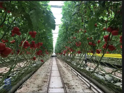  Seramız DENİZLİ  Pamukkale Gölemezli Organize Sanayi Sera Bölgesinde Bulunmaktadır. 