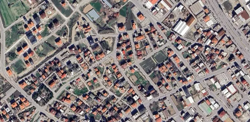 732.jpg