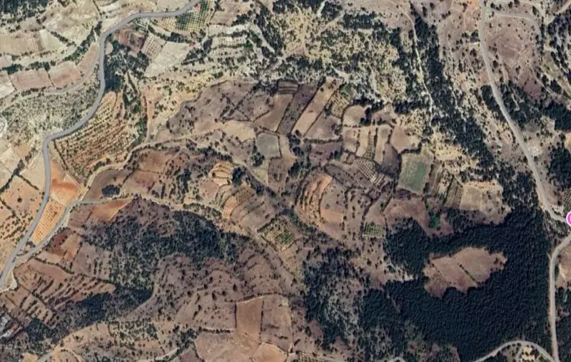 Güzelpınar Mah., Satılık, Tarla, 11.164 m² — fotoğraf 2
