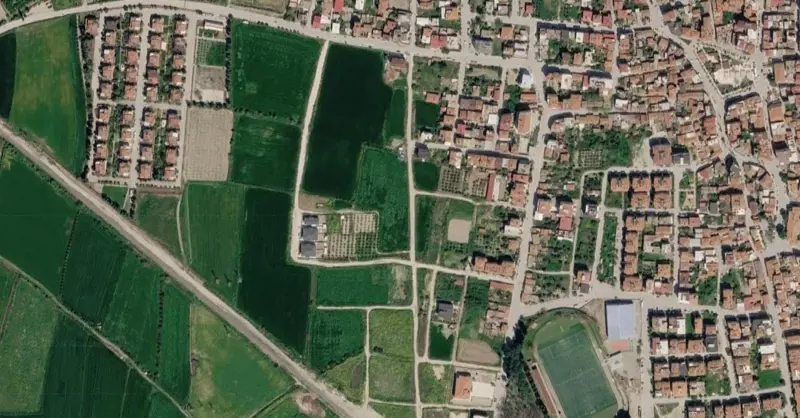 1545.jpg