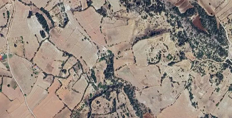 287.jpg