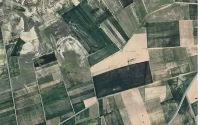 Denizli, Bozkurt, Satılık, Tarla