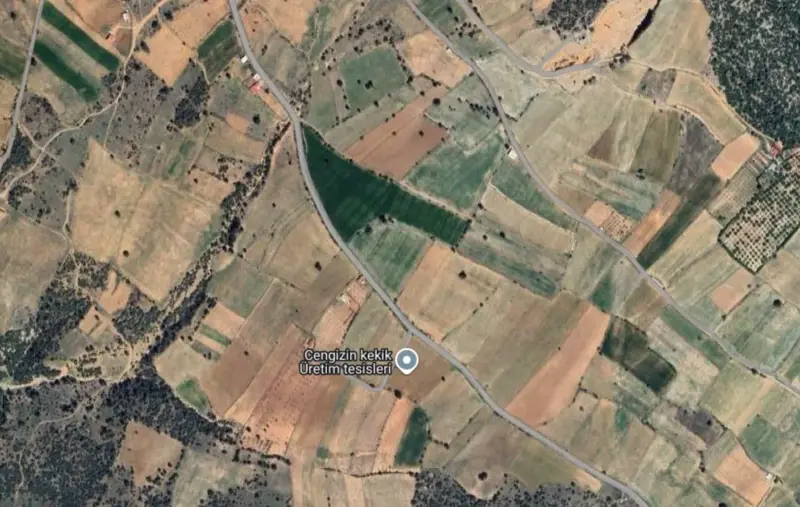 Güzelpınar Mah., Satılık, Tarla, 9.279 m² — fotoğraf 2