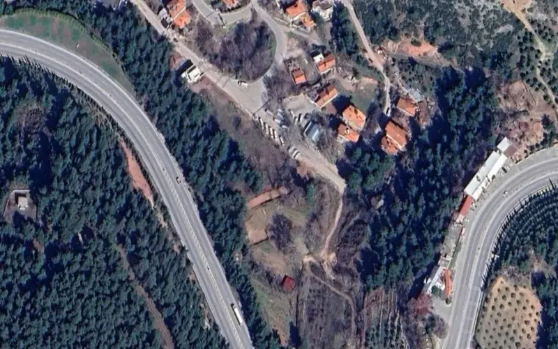 355.jpg