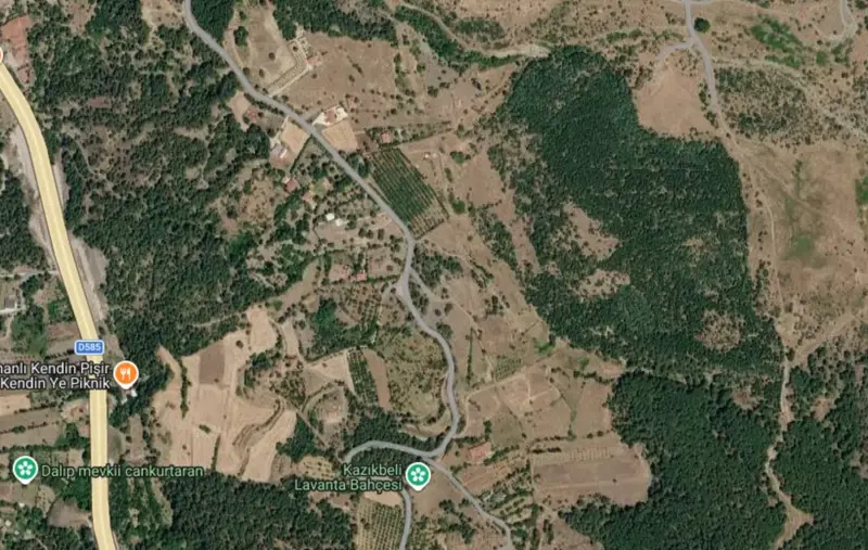 Cankurtaran Mah., Satılık, Tarla, 30.316 m² — fotoğraf 2