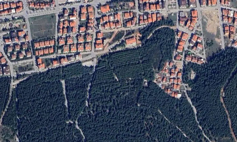 2141.jpg