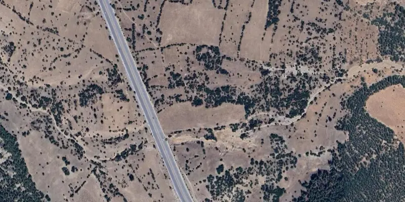 950.jpg