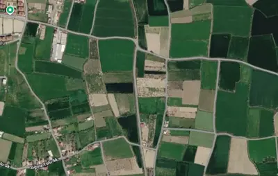 Denizli, Bala, Tarla