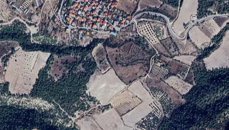 567.jpg