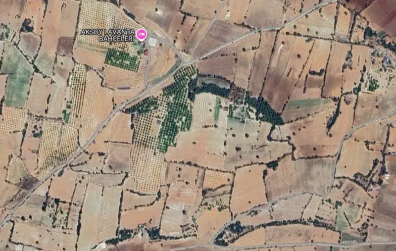 Gözler Mah., Satılık, Tarla, 26.165 m² — fotoğraf 2
