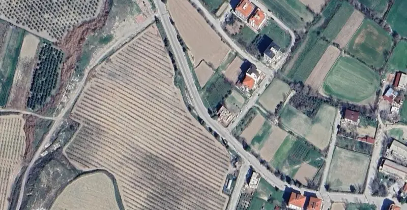 1370.jpg