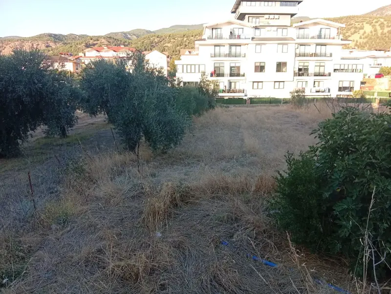 Denizli, Pamukkale karahayıtın gobegınde acıll satılık arsa  — fotoğraf 9