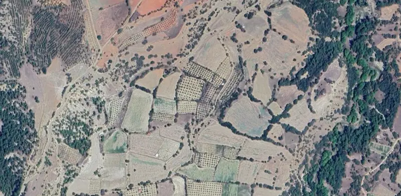 485.jpg
