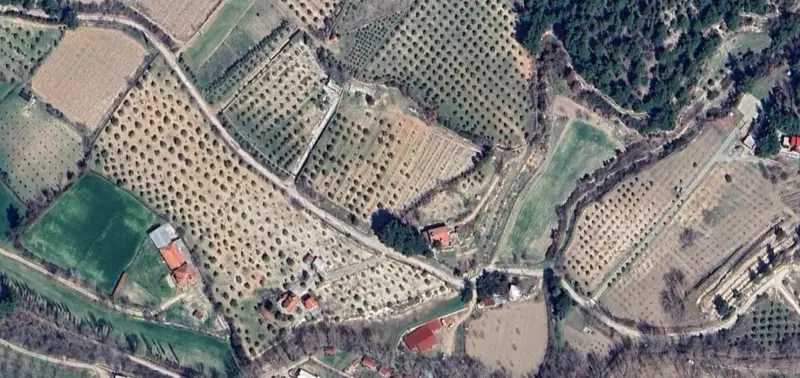 856.jpg
