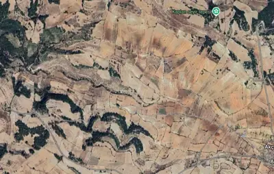 Belenardıç Mah., Satılık, Tarla, 25.700 m²