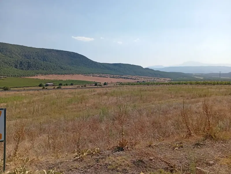 Denizli, Bozkurt, Alikurt Mah. Ana Cadde Üzerinde, Satılık, Tarla — fotoğraf 5