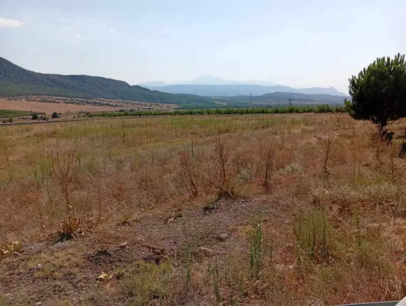 Denizli, Bozkurt, Alikurt Mah. Ana Cadde Üzerinde, Satılık, Tarla — fotoğraf 8