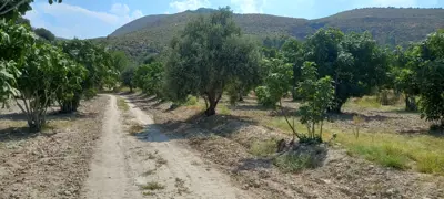 Denizli, Sarayköy, Satılık, Tarla